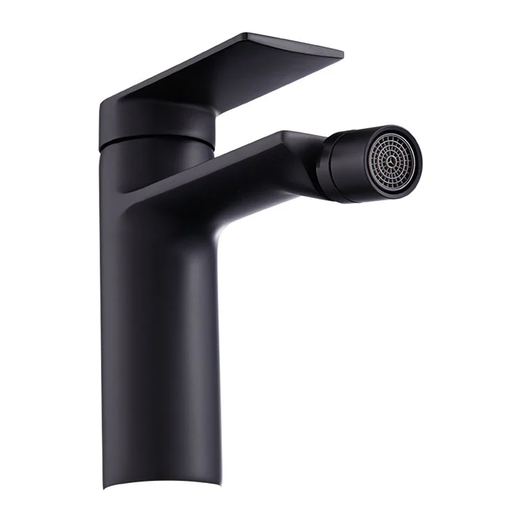 Bathroom Bidet Faucets